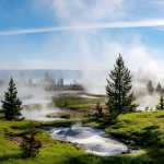 Earthshot Prize 2026: il progetto che salva gli animali collegando Yellowstone e Yukon